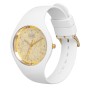 Reloj Mujer Ice IW019205 (Ø 36 mm)