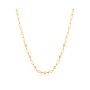 Collier Femme Ania Haie N025-03G 40 cm