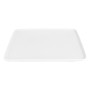Assiette plate (30 x 30 x 2 cm)