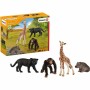 Playset Schleich Wild Life Basic Kit 72162 4 Pièces