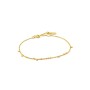 Bracelet Femme Ania Haie B005-02G 19 cm