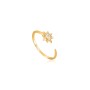 Anillo Mujer Ania Haie R026-03G (13)