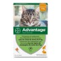 Antiparásitos Advantage Gato Conejo 1-4 Kg 0,4 ml 6 Unidades