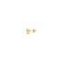 Pendientes Mujer Secrecy PP104813