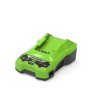 Batterie au lithium rechargeable Greenworks 2932407 Litio Ion