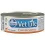 Aliments pour chat Farmina Vet Life Diet Convalescence Poulet