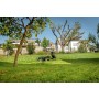 Cortacésped Metabo RM 36-18 LTX BL 46