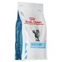 Aliments pour chat Royal Canin Skin & Coat Maïs Oiseaux 1,5 Kg