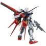 Figure à Collectionner Bandai 1/100 AILE STRIKE GUNDAM VER. RM BL