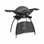 Barbacoa Weber Q 2400