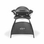 Barbacoa Weber Q 2400