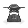 Barbacoa Weber Q 2400