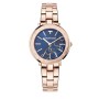 Montre Homme Trussardi R2453115501