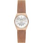 Montre Femme Skagen SKW3035