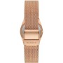 Montre Femme Skagen SKW3035