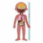 Puzzle Apli Human Body 240 Piezas