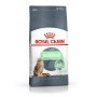 Comida para gato Royal Canin Digestive Care Pescado Adulto Arroz Vegetal Aves 400 g