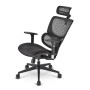 Chaise de Bureau Sharkoon Officepal C30M Noir