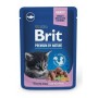 Aliments pour chat Brit