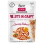 Aliments pour chat Brit Care Poulet Saumon