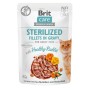 Aliments pour chat Brit                 Poulet