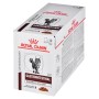 Aliments pour chat Royal Canin Gastrointestinal Moderate Calorie