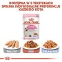 Aliments pour chat Royal Canin Kitten Jelly Poulet