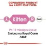 Aliments pour chat Royal Canin Kitten Jelly Poulet