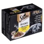 Aliments pour chat Sheba Delicacy in Jelly Poulet Dinde Canard Oiseaux