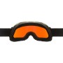 Lunettes de ski Alpina Blackcomb Q-Lite Bleu Gris Orange S2