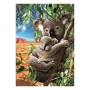 Puzzle Educa Koala (500 pcs)
