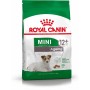 Nourriture Royal Canin Mini Ageing 12+ Adulte Senior Oiseaux 3,5 g