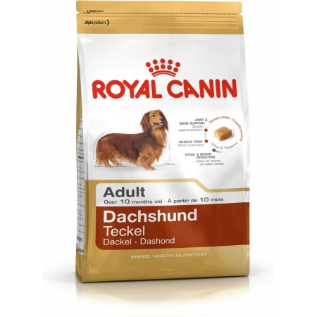 Pienso Royal Canin Dachshund Adult Adulto Arroz Aves 1,5 Kg