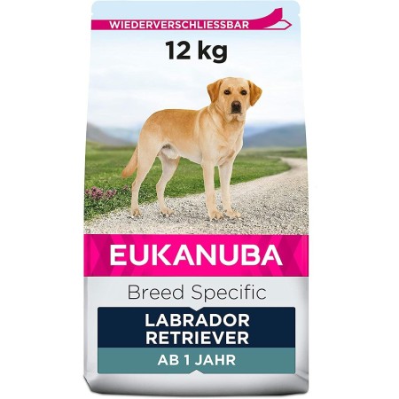 Nourriture Eukanuba Adulte Poulet 12 kg