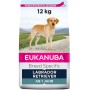 Nourriture Eukanuba Adulte Poulet 12 kg