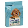 Nourriture Purina Dog chow Petit/Junior Agneau 2,5 kg