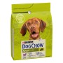 Nourriture Purina Dog Chow Adulte Agneau 2,5 kg