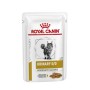 Comida para gato Royal Canin Feline Urinary S/O Moderate Calorie 85 g