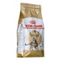 Aliments pour chat Royal Canin Bengal Adult Adulte Légumes Oiseaux 2 Kg