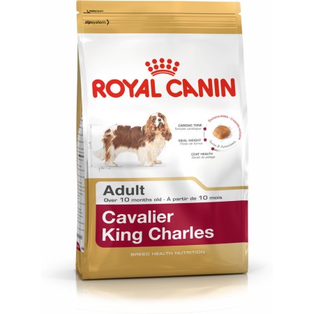 Nourriture Royal Canin Cavalier King Charles Adulte 1,5 Kg