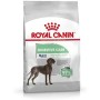 Nourriture Royal Canin Adulte Riz Oiseaux 3 Kg