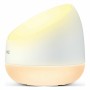 Ampoule à Puce Philips 8719514553026 Blanc Plastique (1 Pièce)