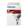 Bombilla de luz Infrarroja Philips R125 250 W E27
