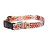 Collar para Perro Matteo Boho 34-60 cm Estampado