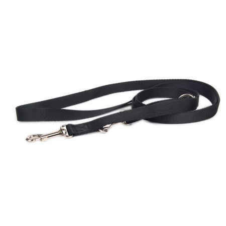 Correa para Perro Matteo                 220 cm Negro