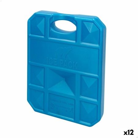 Acumulador de Frío Aktive Azul 1 kg 18,5 x 24 x 3,3 cm (12 Unidades)