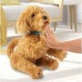 Jouet Peluche Famosa Moji Dog