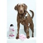 Champú para mascotas Wahl Clean & Calm 750 ml