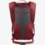 Sac de sport Salomon LC2059500 Rouge Rouge intense Taille unique 10 L