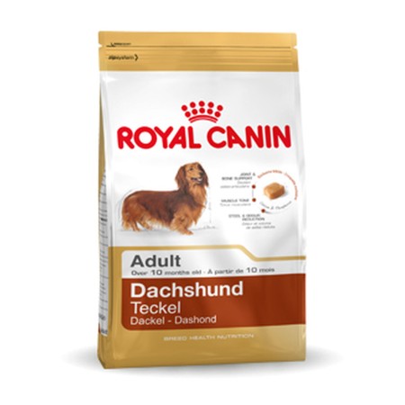 Nourriture Royal Canin Dachshund Adult Adulte Oiseaux 7,5 kg